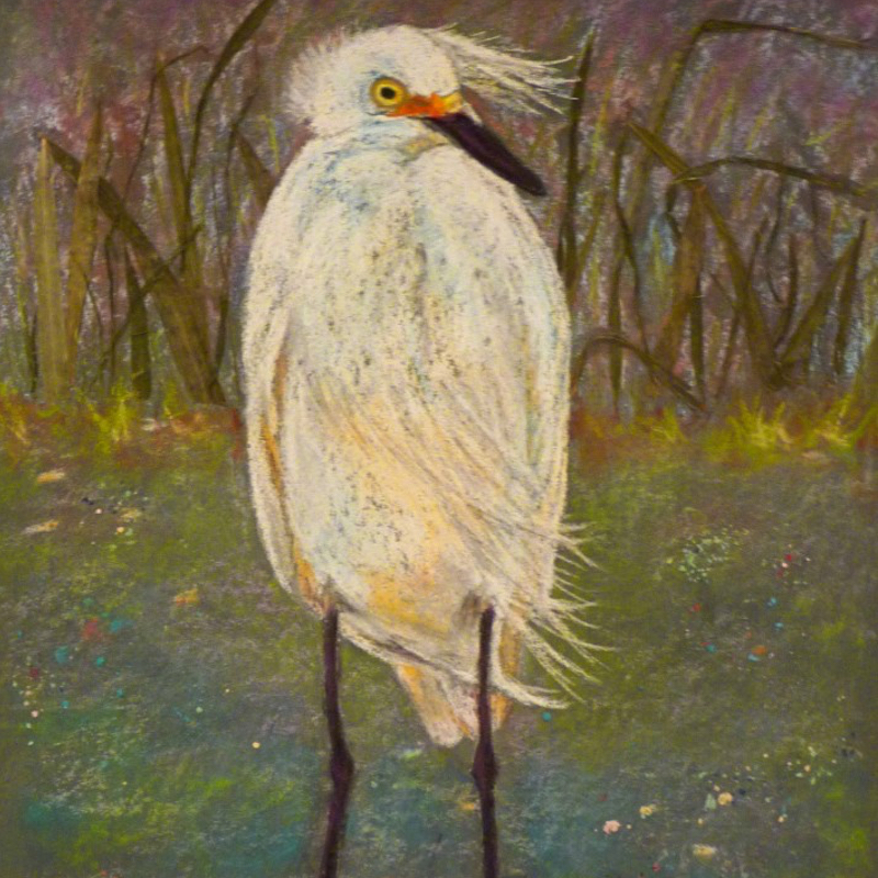 Egret