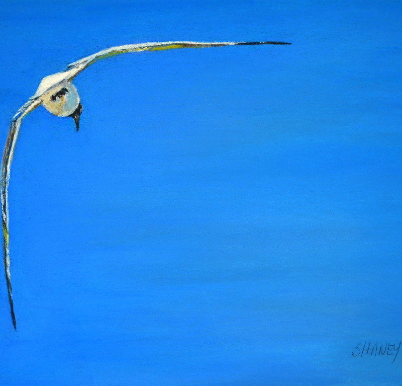 Vacationing with the Birds