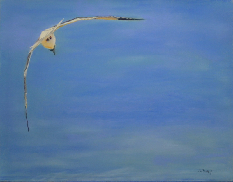Seagull artwork
