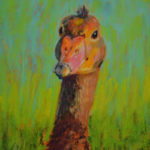 Whistler Duck Artwork