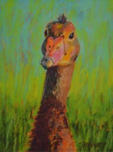 Whistler Duck Painting