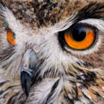 Owl Painting