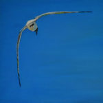 Seagull painting