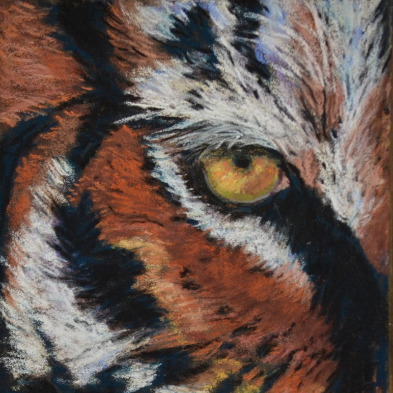 Tiger’s Eye
