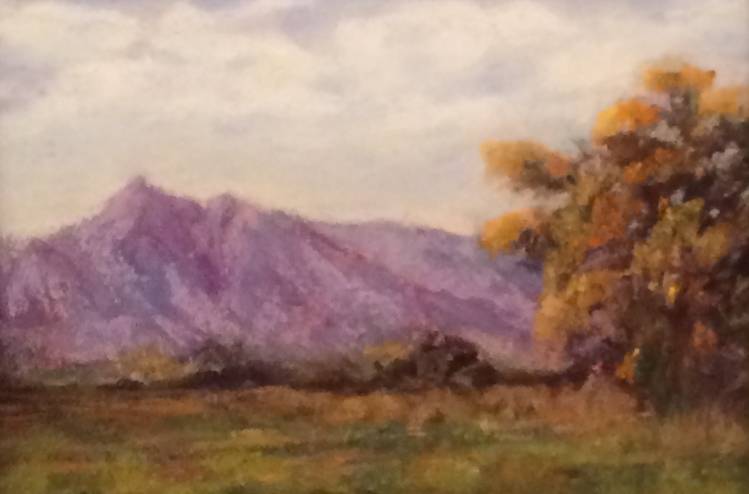 Sharon Haney Art | West Texas Artists